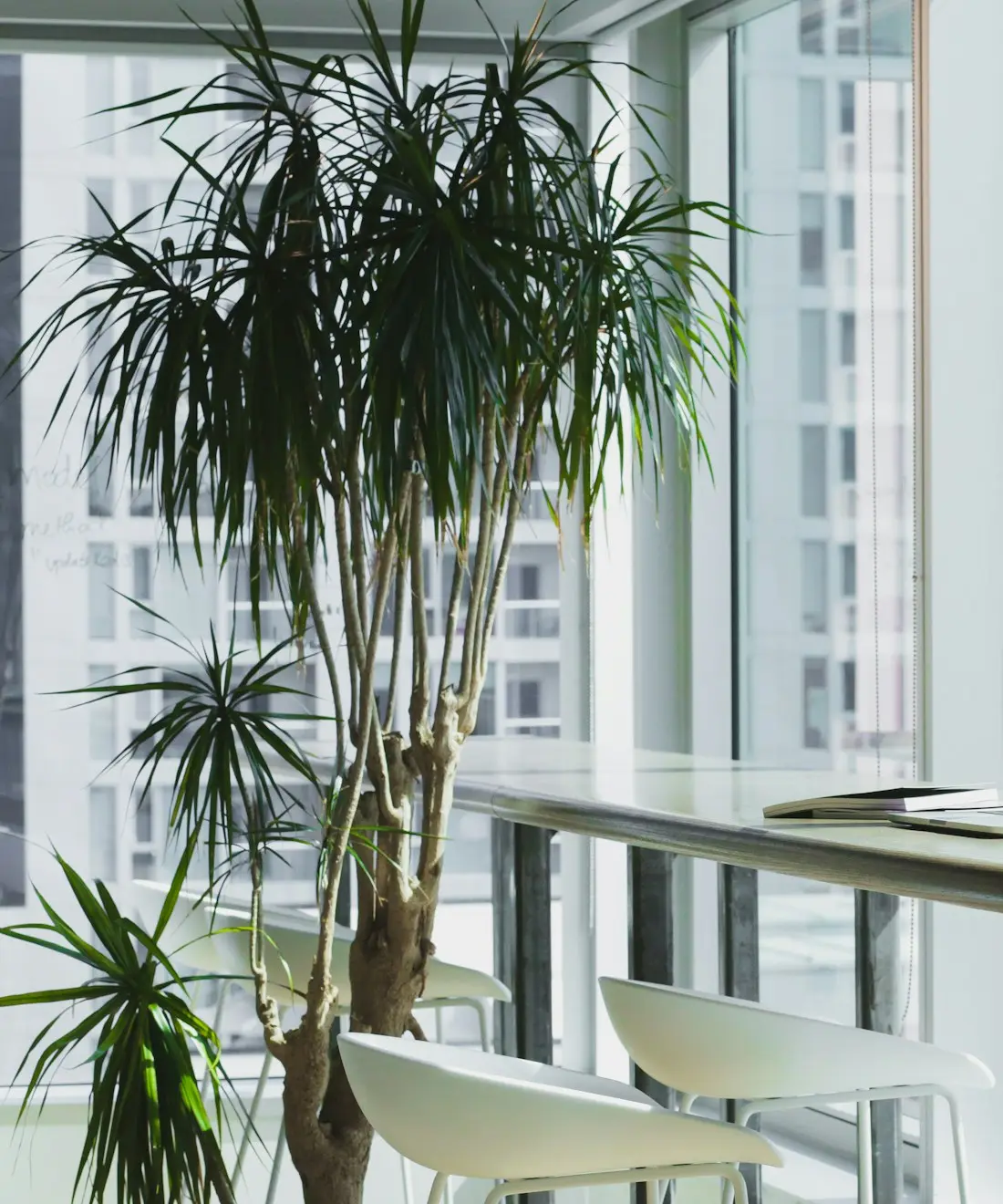 A bright, modern office workspace overlooking the city